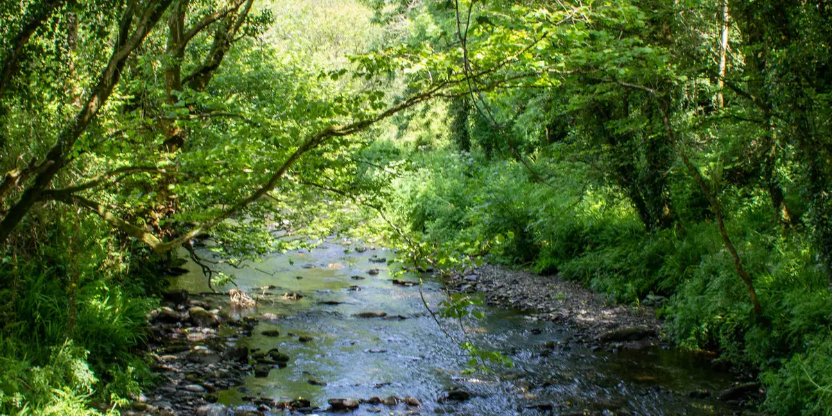 Drimoleague Heritage Trail