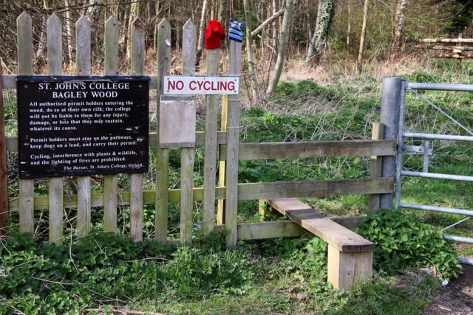 An image depicting the trail Bagley Wood Loop and its surrounding area.