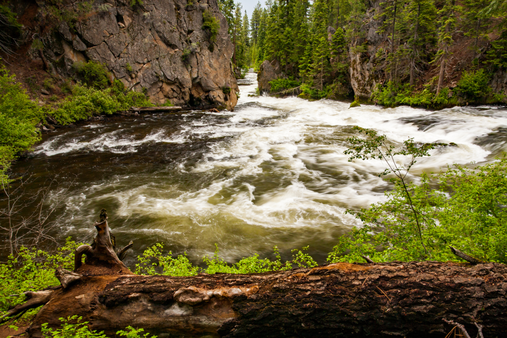 An image depicting the trail Old Mill Trail and its surrounding area.