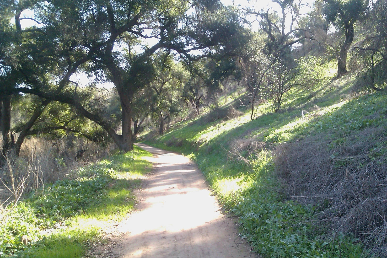An image depicting the trail Telegraph Canyon Trail and its surrounding area.