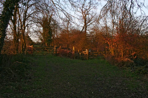 Providence Lead Mine and Charley Wood Loop