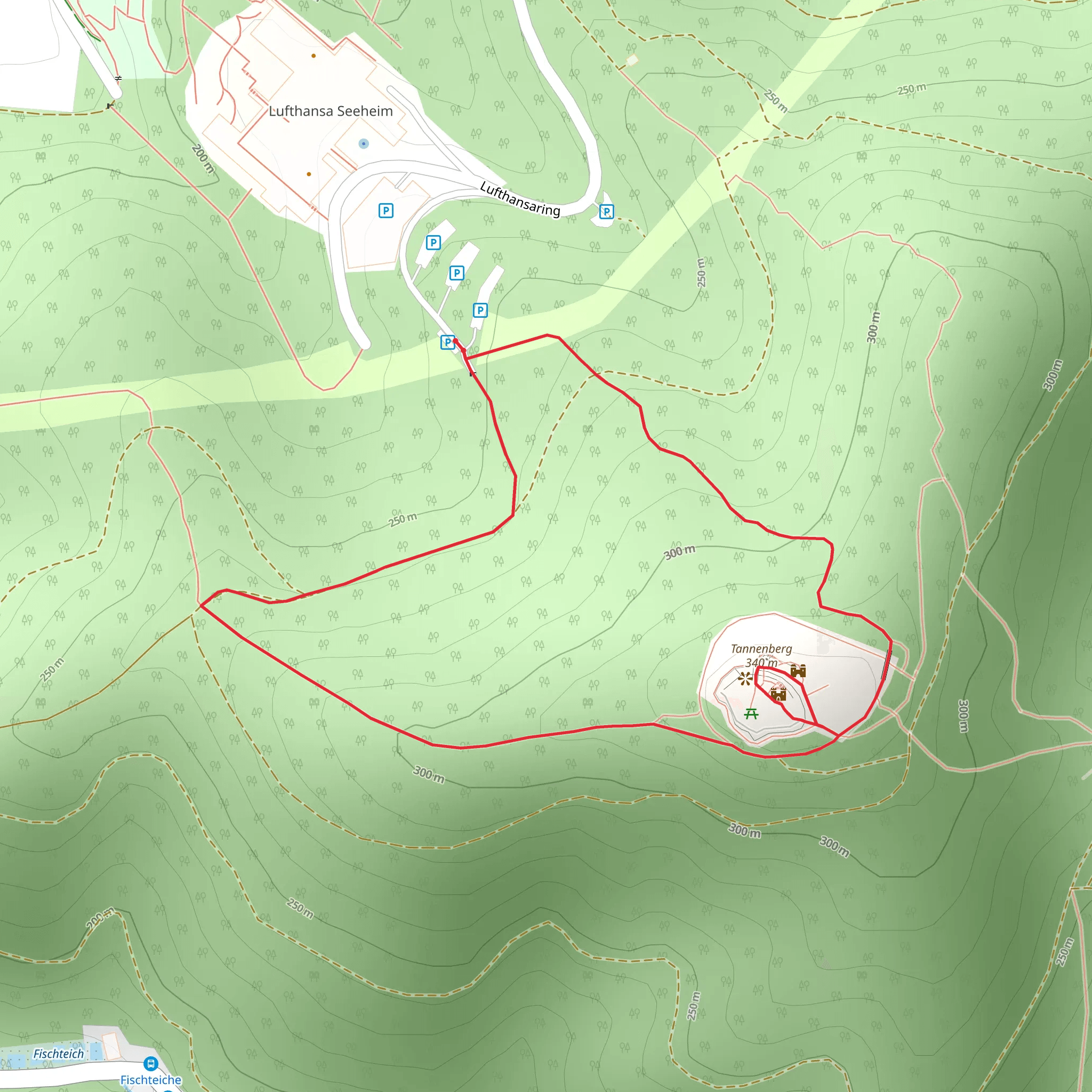 Burg Tannenberg Loop via Lufthansa Wanderweg 1 mobile static map