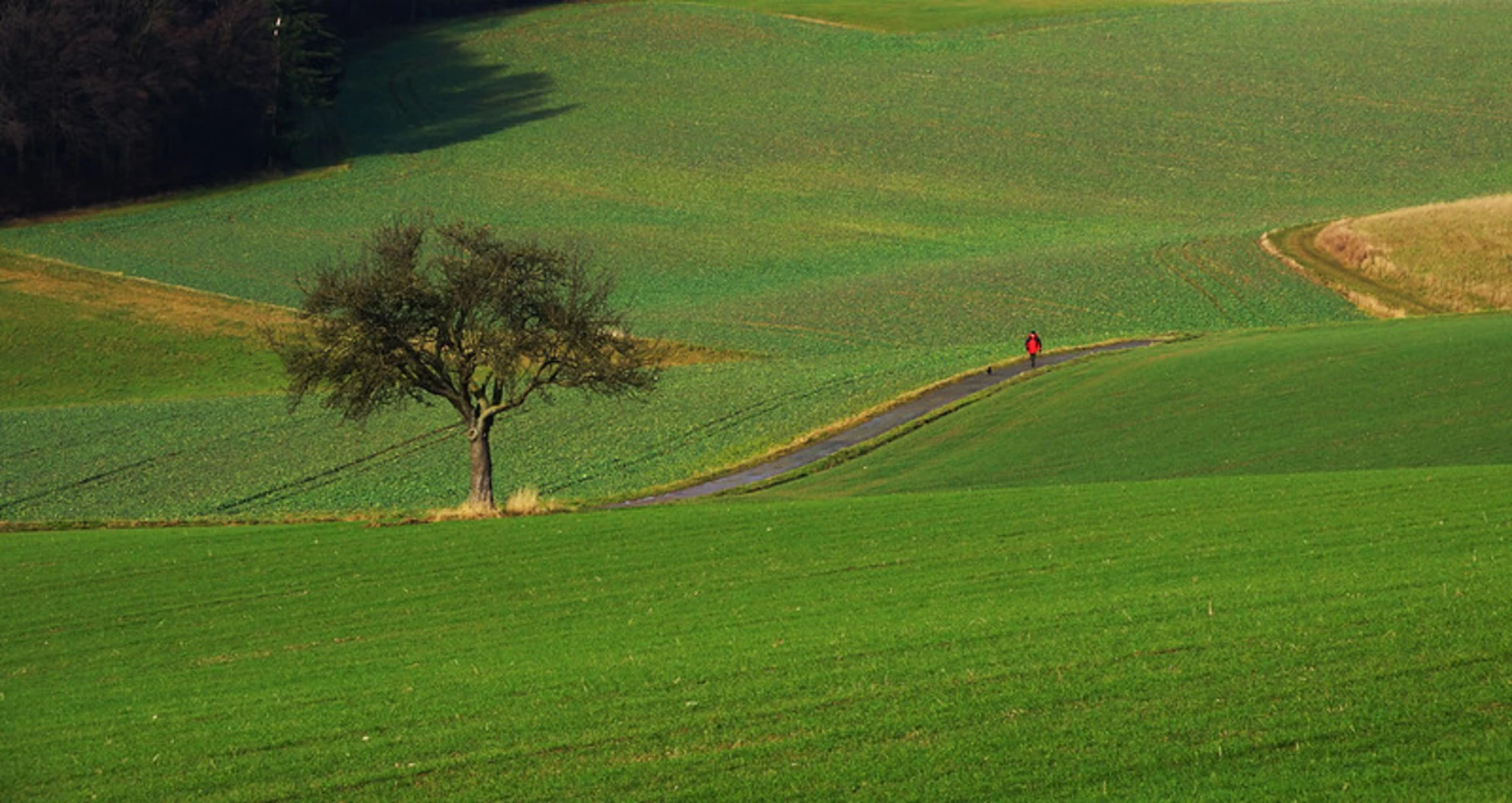 An image depicting the trail Idstein to Wiesbaden Walk and its surrounding area.