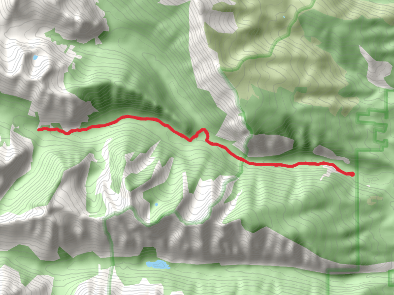 South Fork Bear Creek via Bear Creek Trail