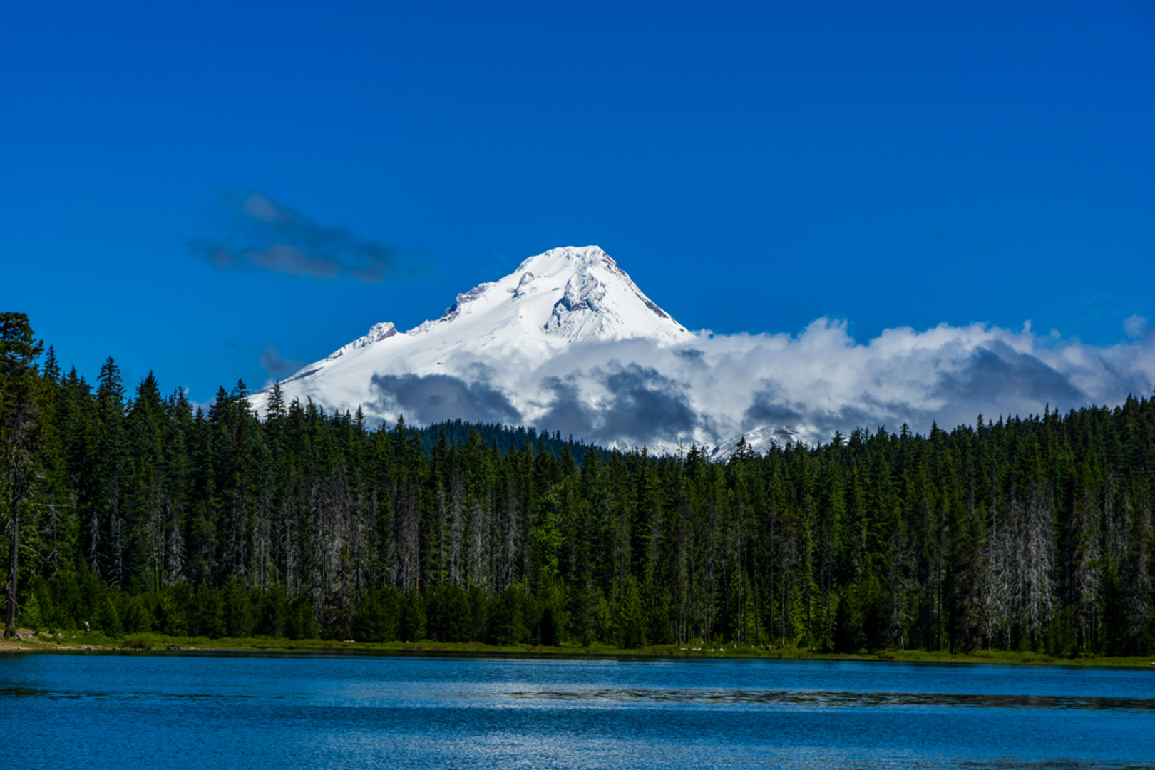 An image depicting the trail Frog Lake via Frog Lake Butte Trail and its surrounding area.