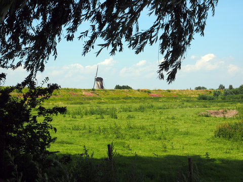 Donkerstraat and Dikke Torenpad