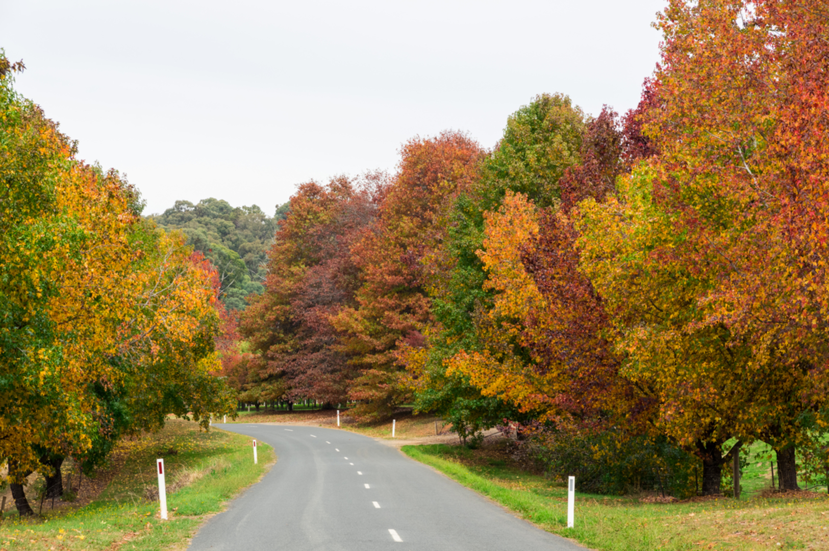 An image depicting the trail Stanley Plateau Loop Trail and its surrounding area.