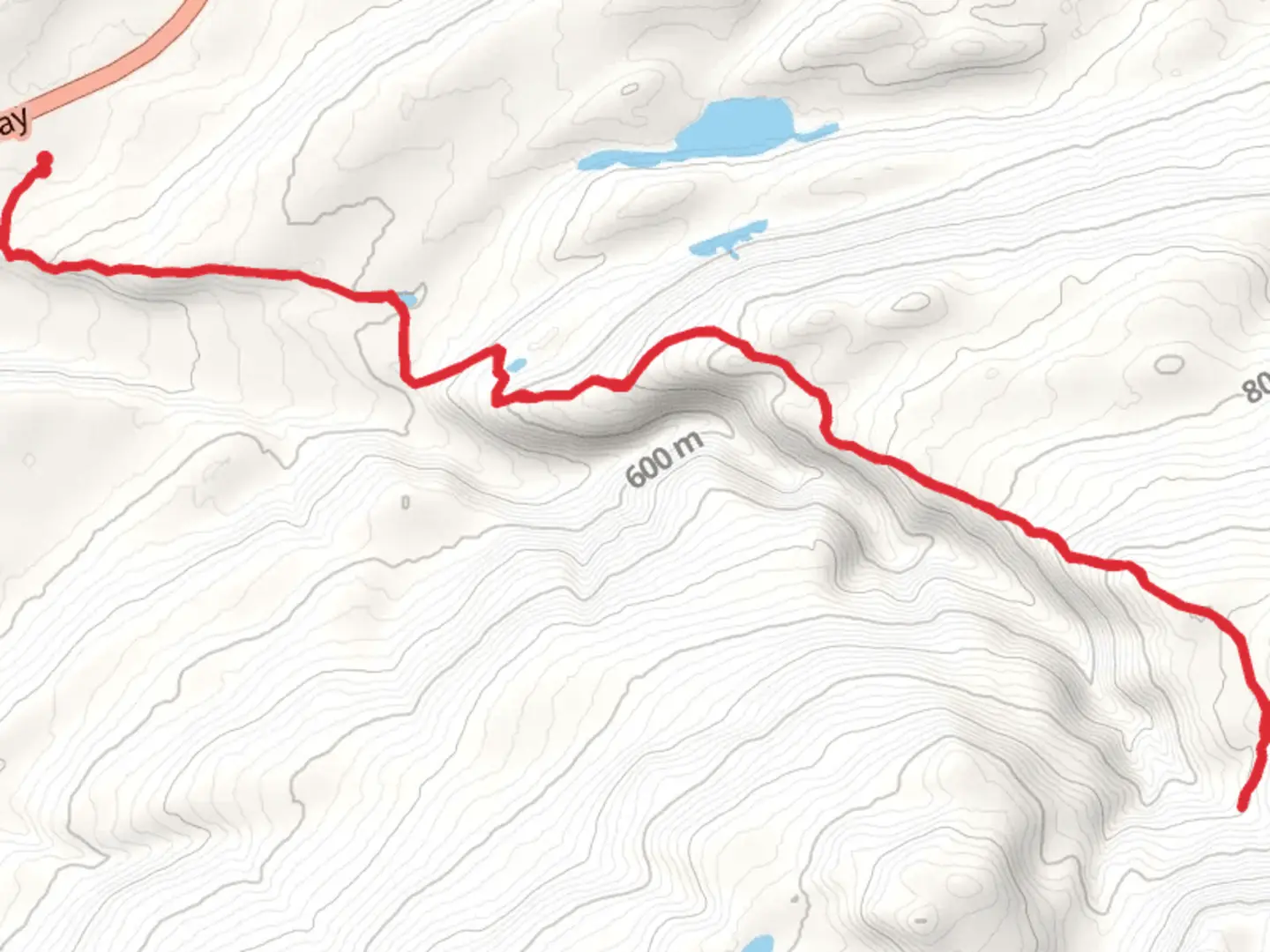 An image depicting the trail Little Coal Creek Trail and its surrounding area.