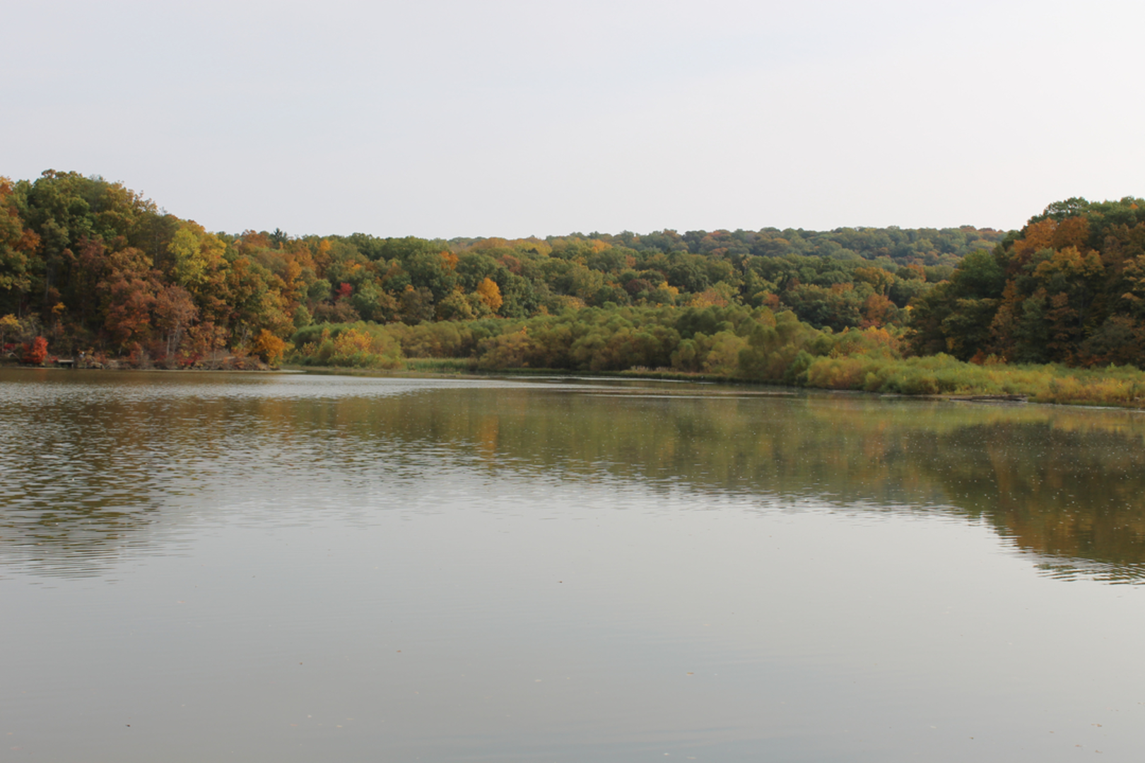 An image depicting the trail Hinckley Lake Loop and its surrounding area.