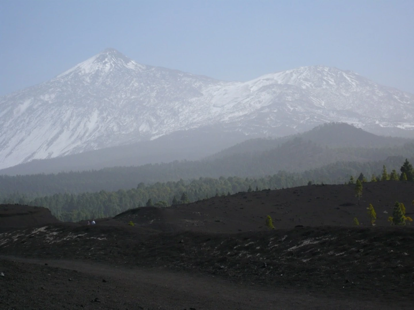 An image depicting the trail Arenas Negras Loop and its surrounding area.