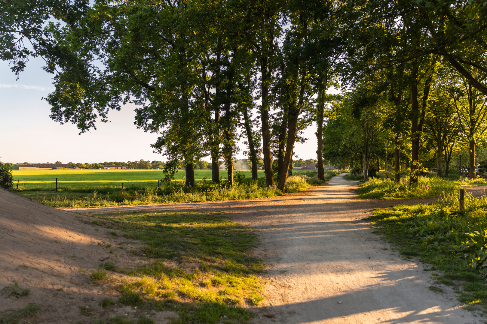An image depicting the trail Postelse Heide, Borkelsche Heide and Bergerheide Loop and its surrounding area.
