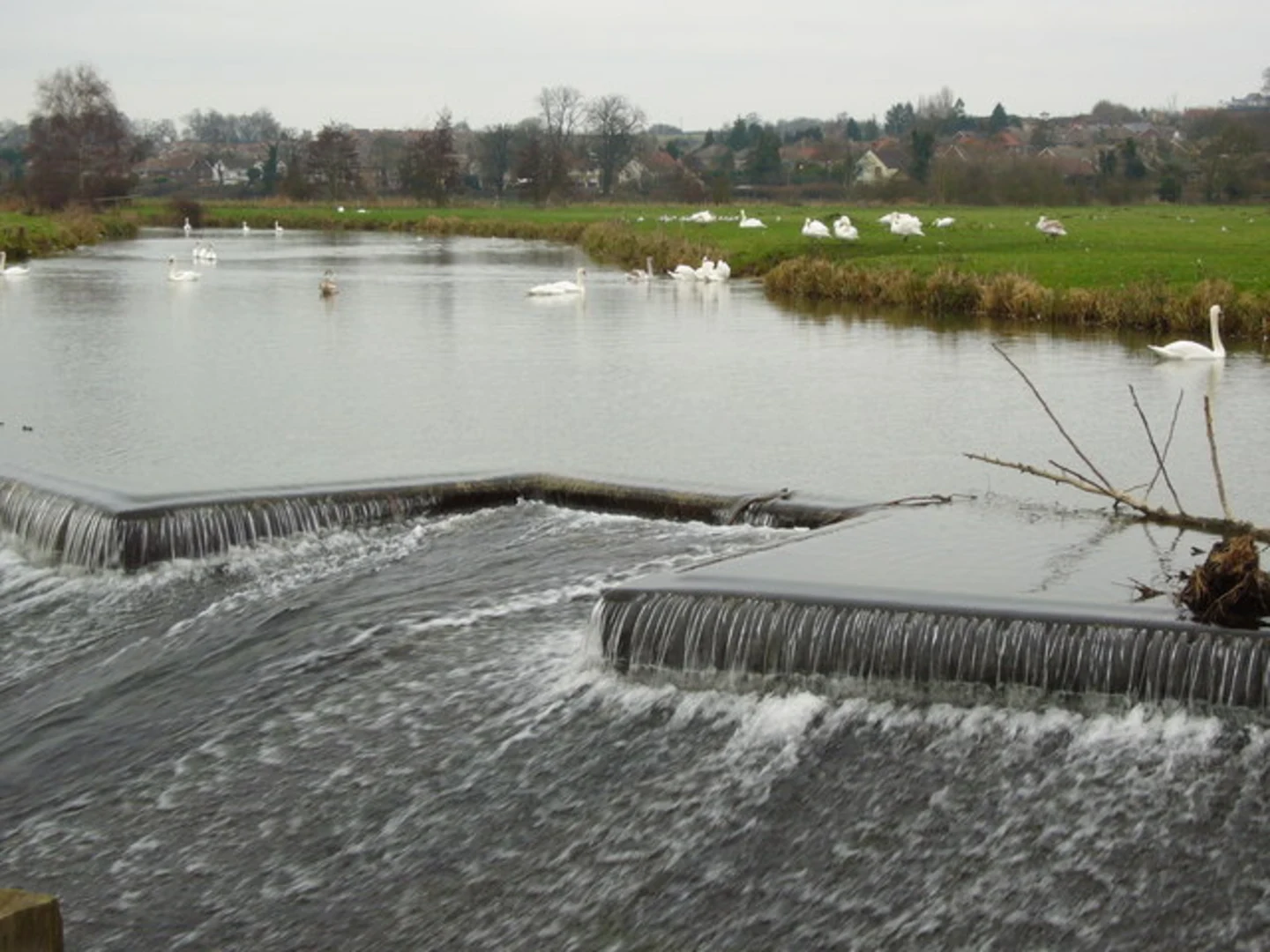 An image depicting the trail Sudbury Water Meadows Walk and its surrounding area.