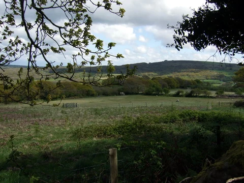 Carningli Lower Slopes Trail