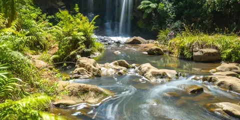 An image depicting the trail Mokoroa Falls Track and its surrounding area.