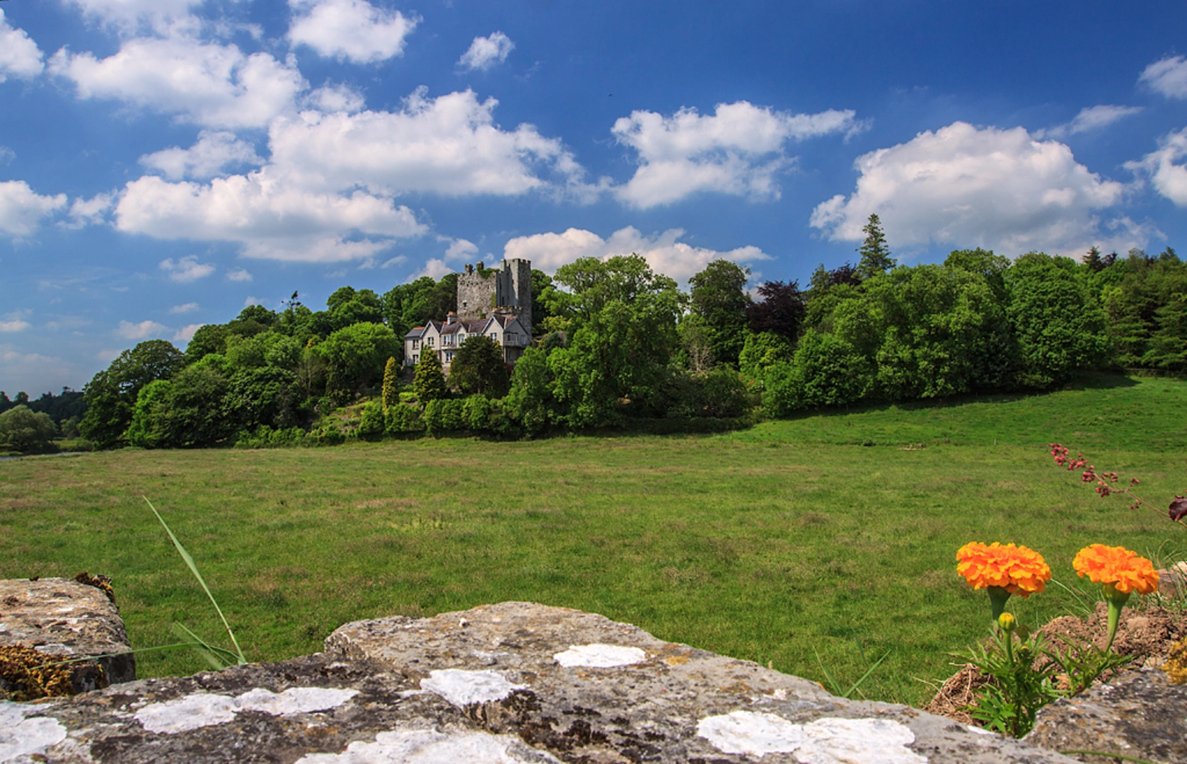 An image depicting the trail Castleblagh - Woodland Trail and its surrounding area.