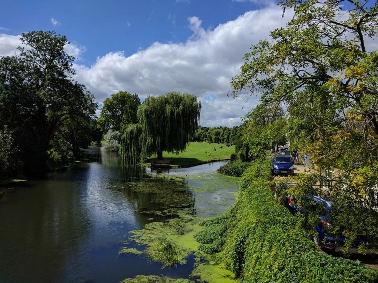 An image depicting the trail Stamford and its surrounding area.