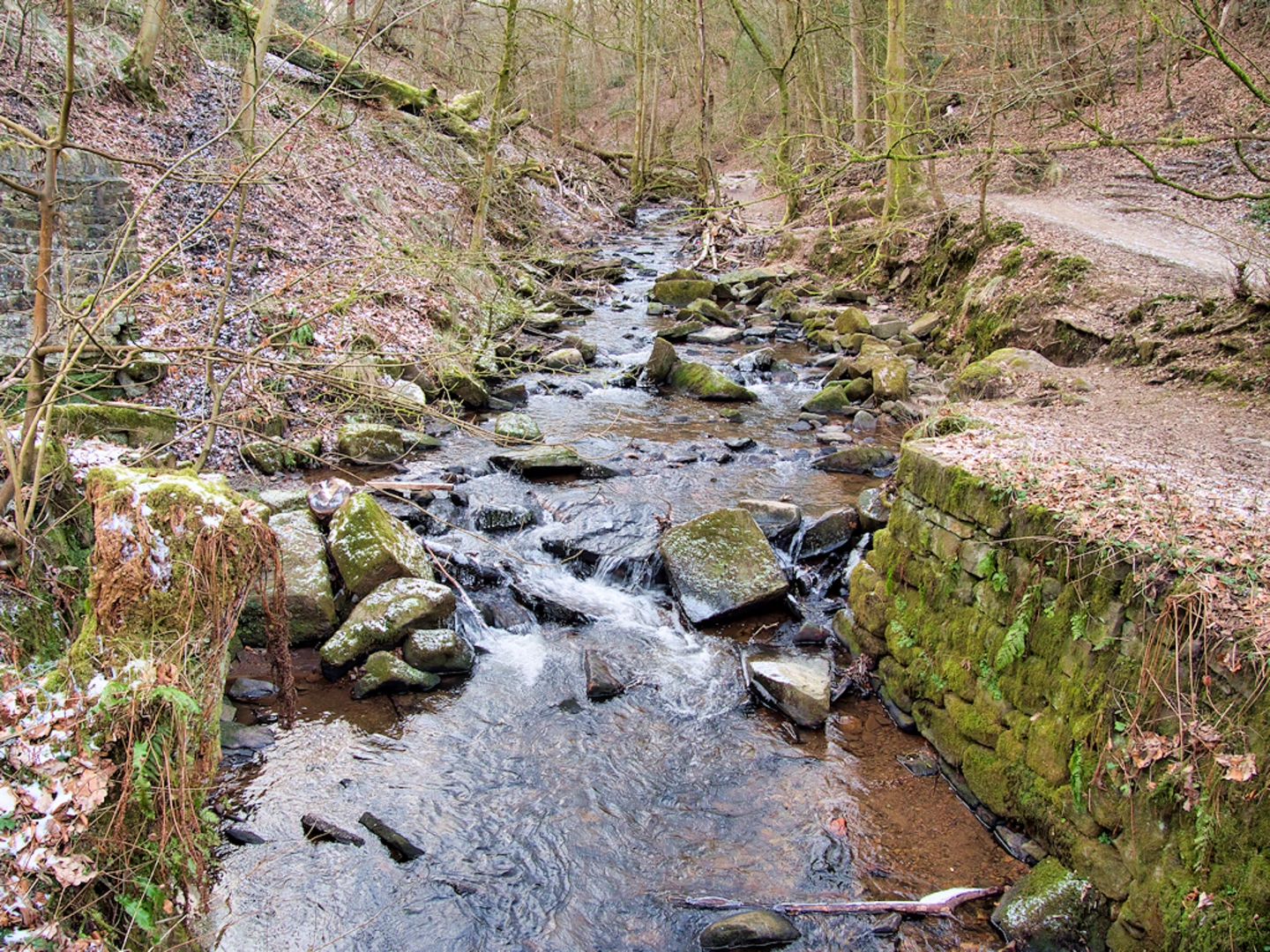 An image depicting the trail Brooksbottom and River Irwell Loop and its surrounding area.