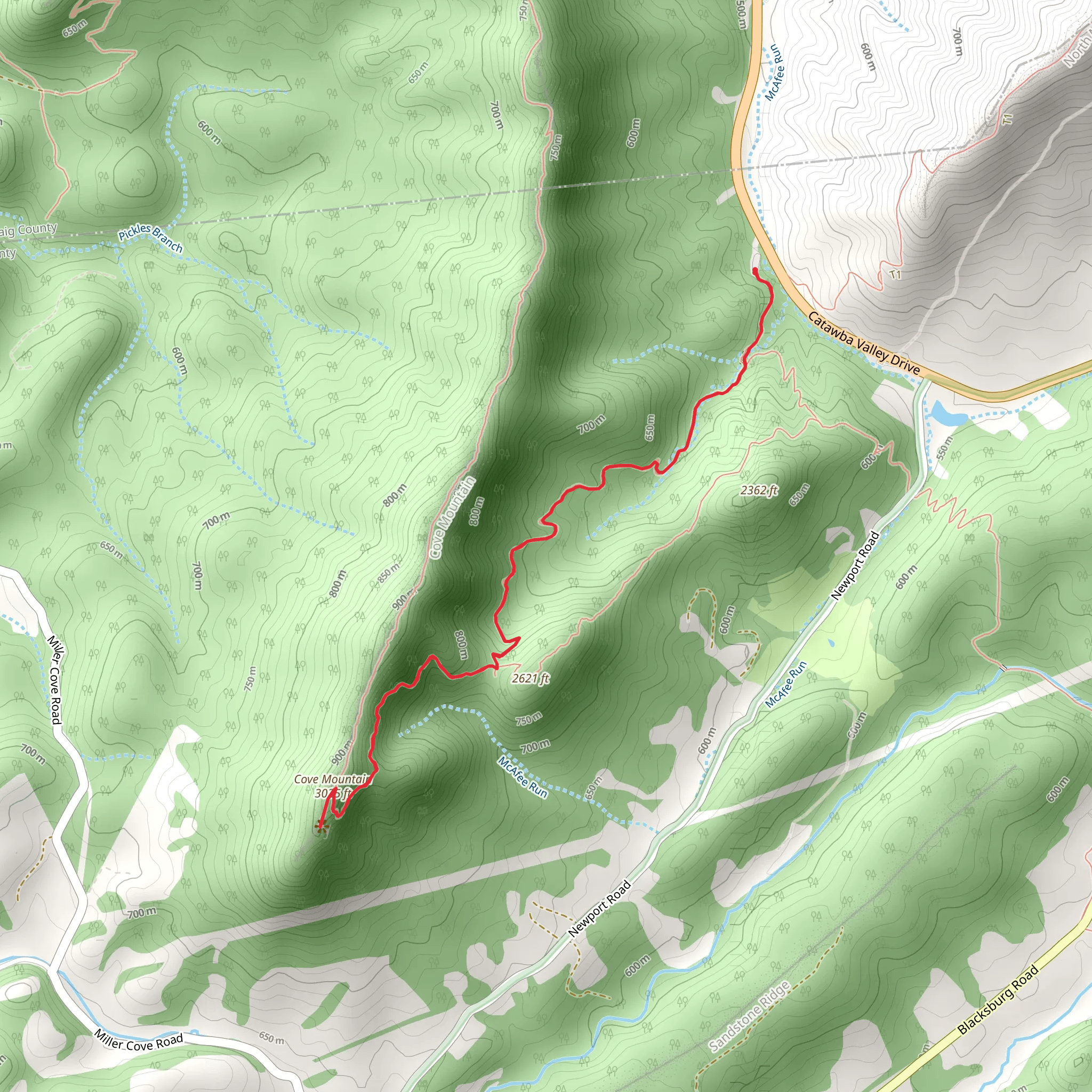Cove Mountain via Dragons Tooth Trailhead mobile static map