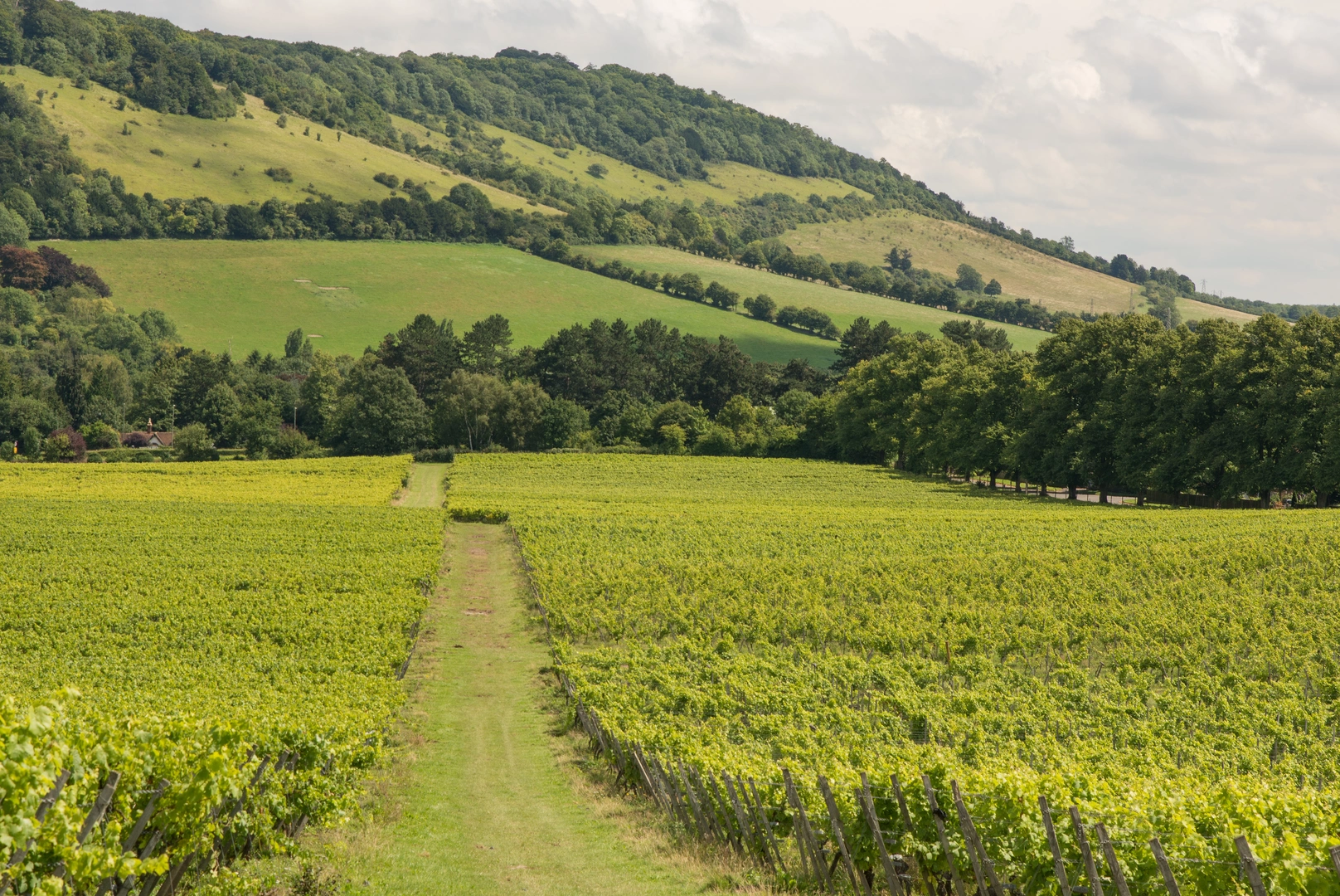 An image depicting the trail Mole Gap Trail and its surrounding area.