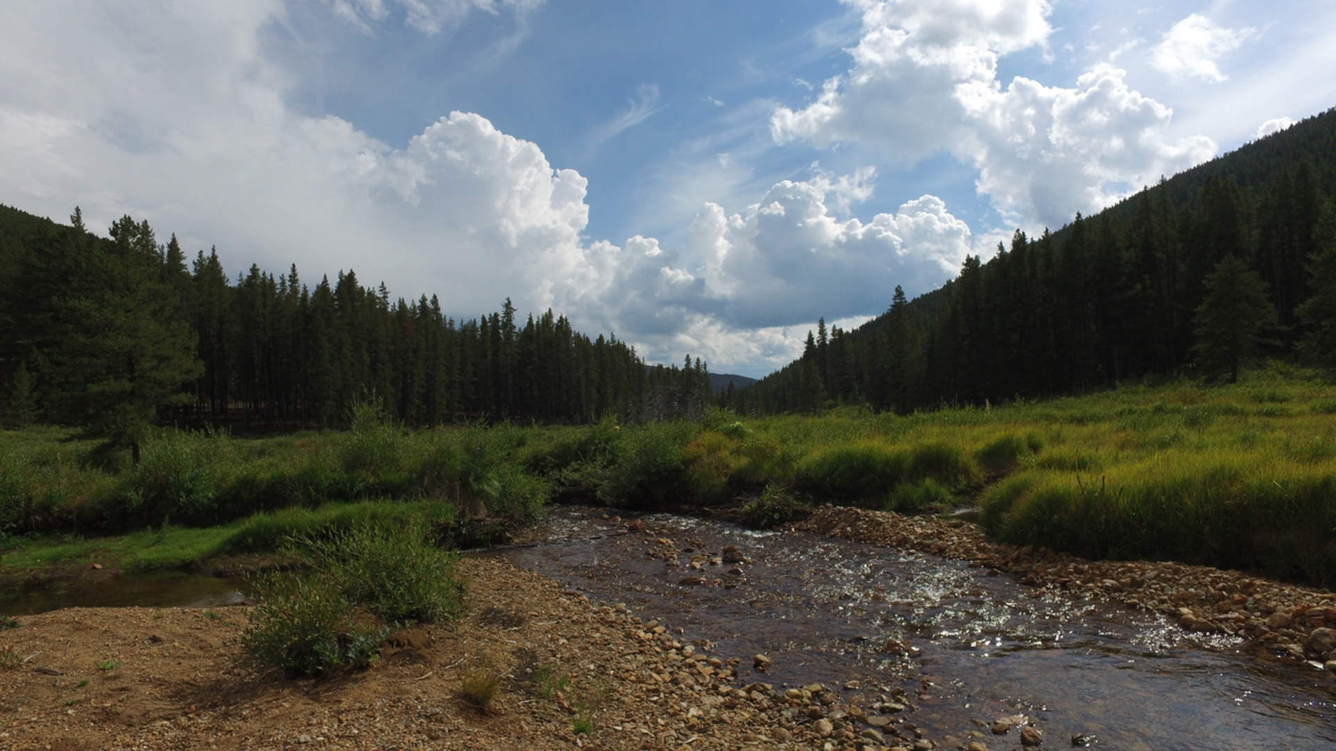 An image depicting the trail Canyon Creek Trail and its surrounding area.