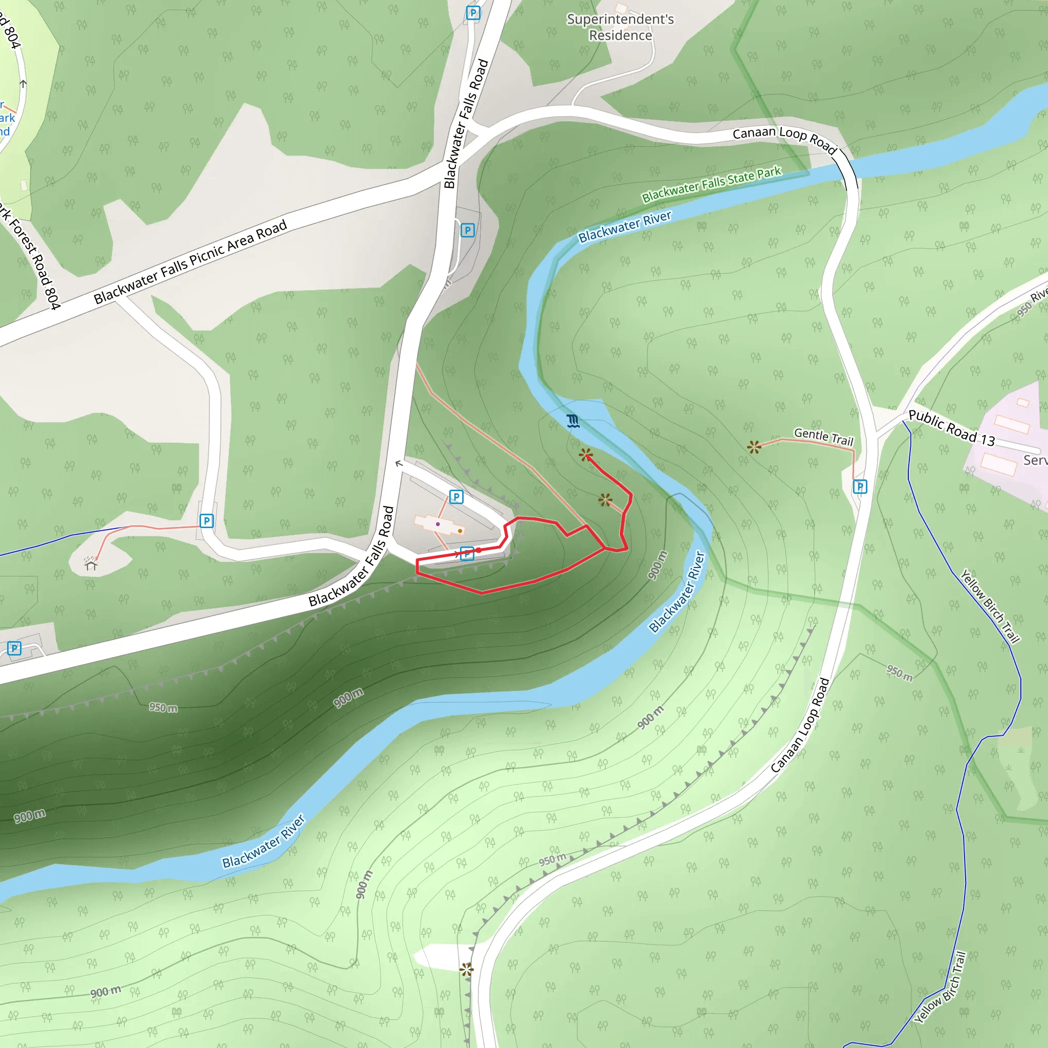 Blackwater Falls and River Loop mobile static map