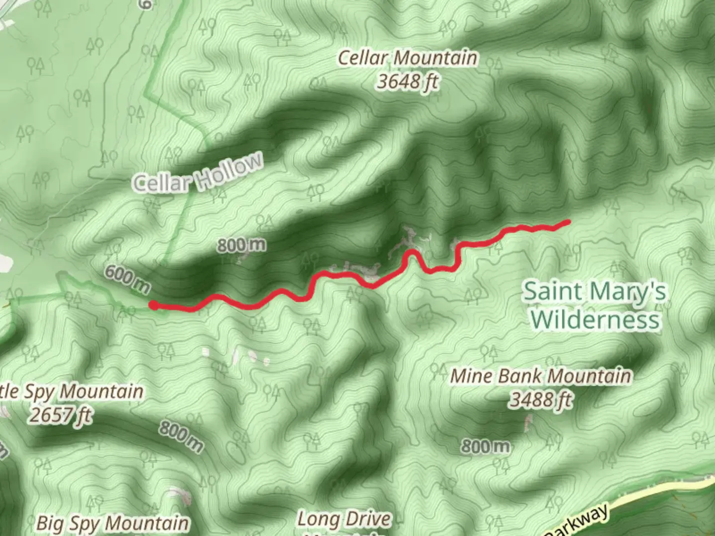 An image depicting the trail Saint Marys River and its surrounding area.