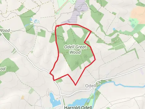 Odell Great Wood Loop