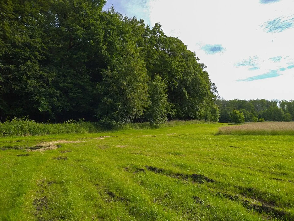 Lichtemeer and Wildgehege Damwild Loop via DAV Tour 2 Alte Kulturlandschaften