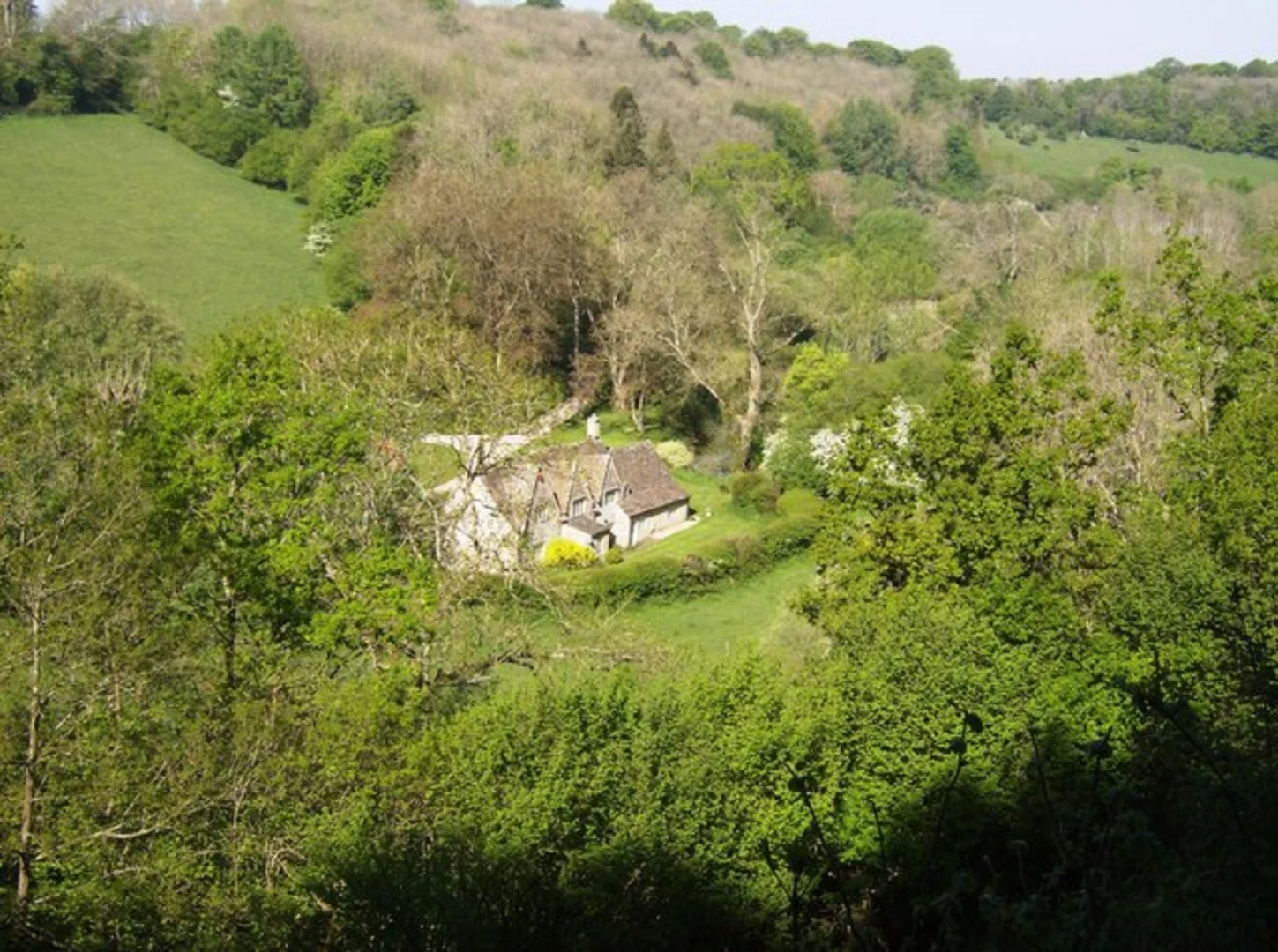 An image depicting the trail Danks Down Wood and Deverell's Plantation Loop and its surrounding area.