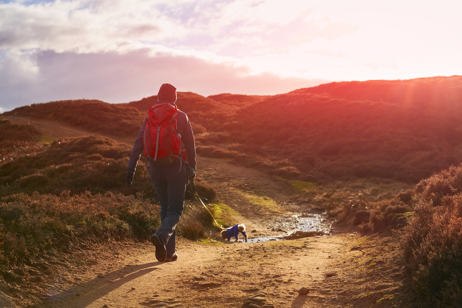 An image depicting the trail Edmundbyers to Cowshill through Weardale Way and its surrounding area.