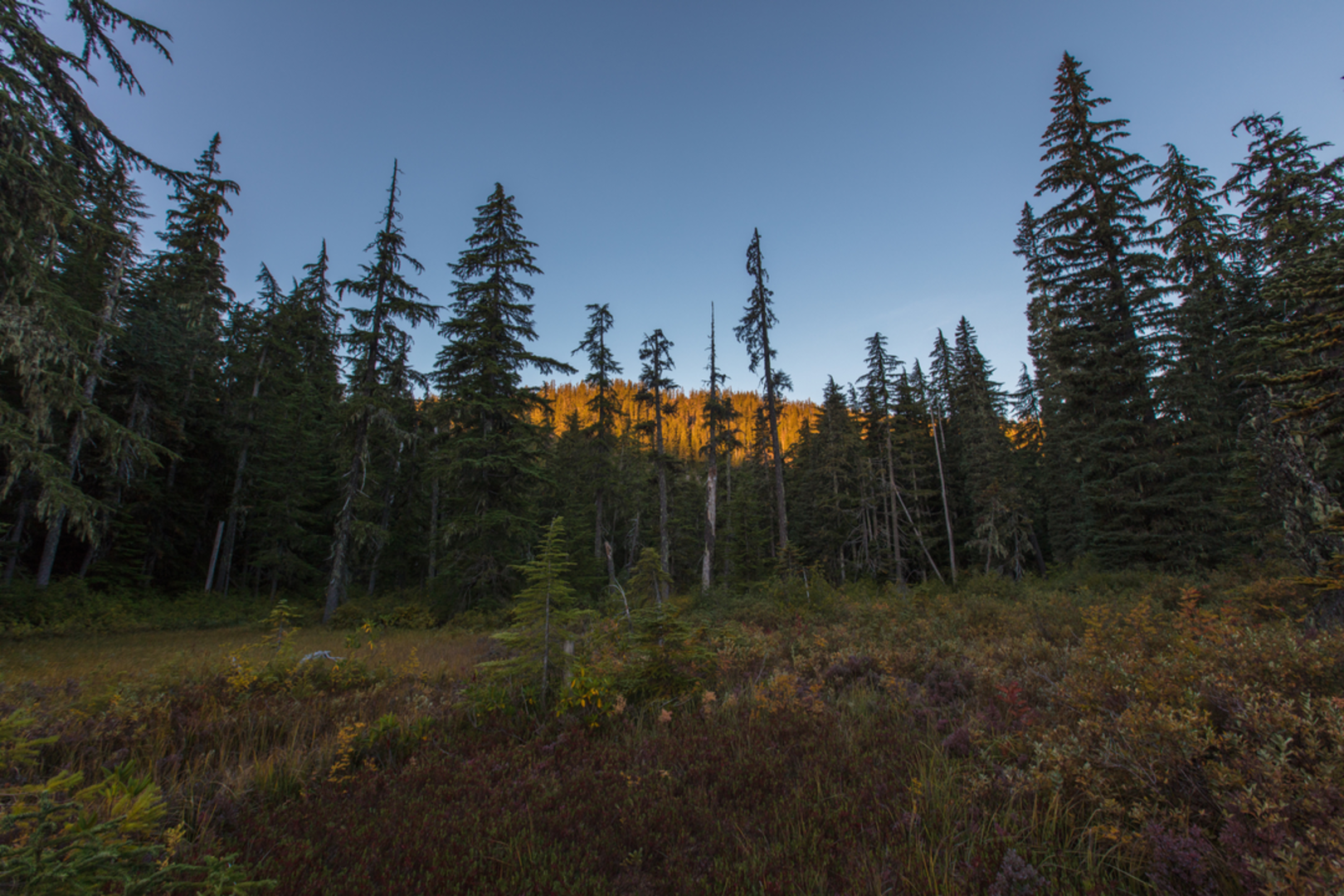 An image depicting the trail Rimrock Trail and its surrounding area.