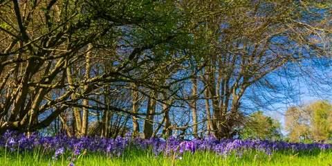 Ayot St Lawrence to Ayot St Peter Circular