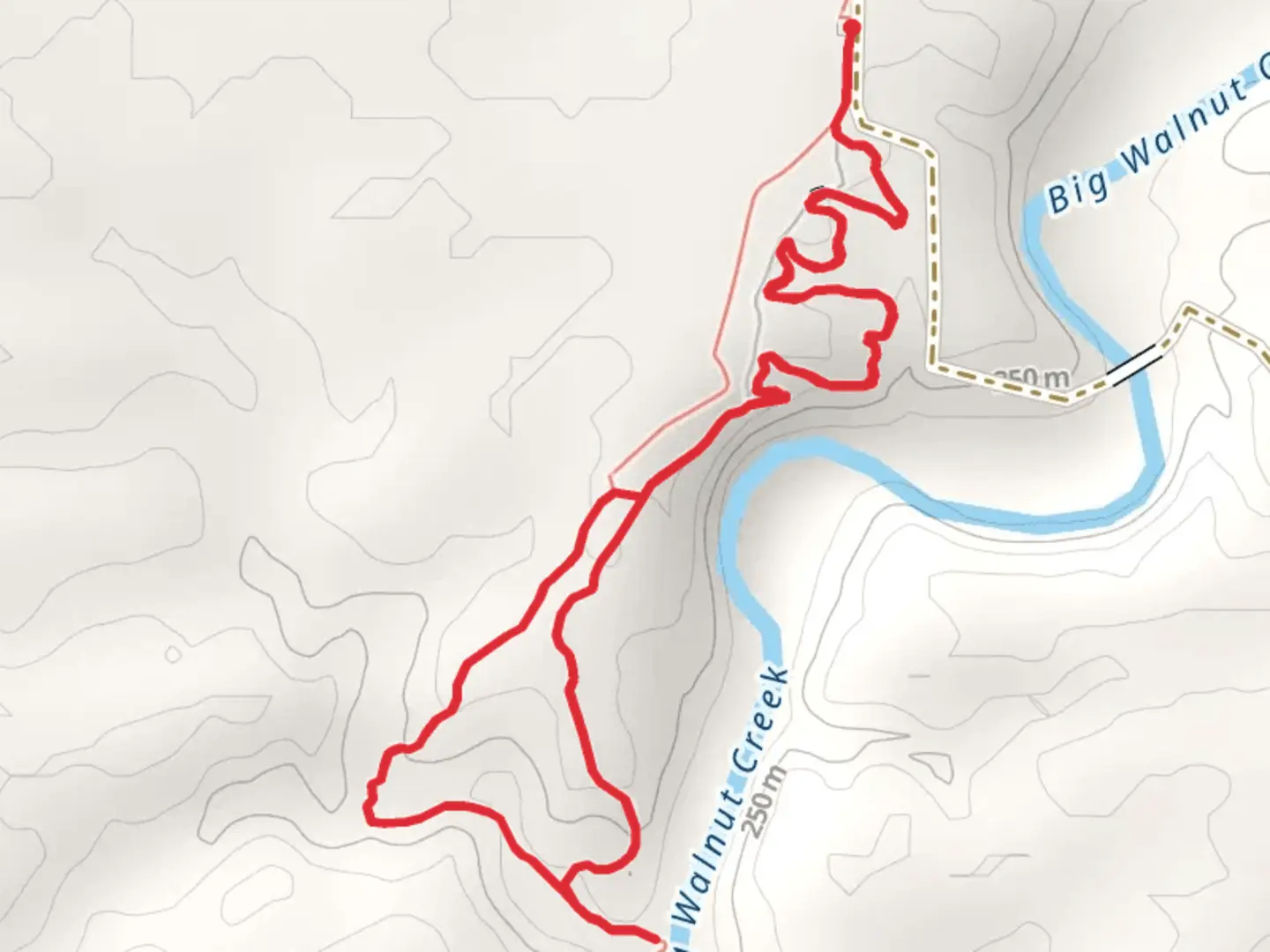 An image depicting the trail Tall Timbers Loop Trail and its surrounding area.