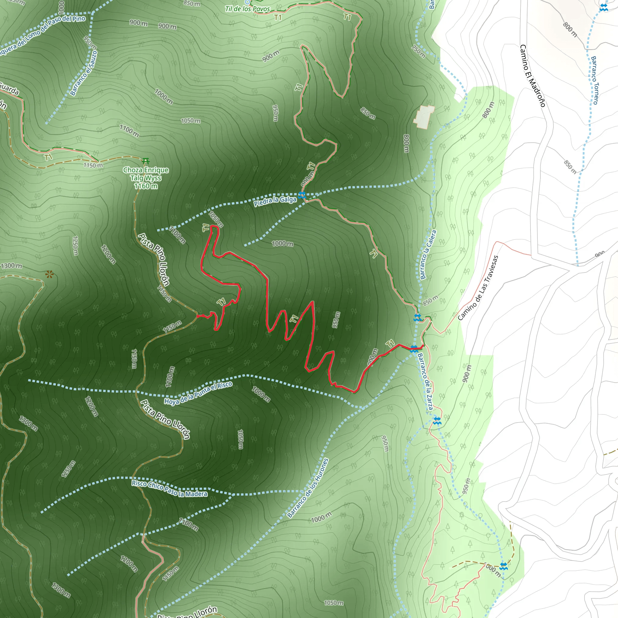 Camino Punta del Risco PR TF 40-1 mobile static map