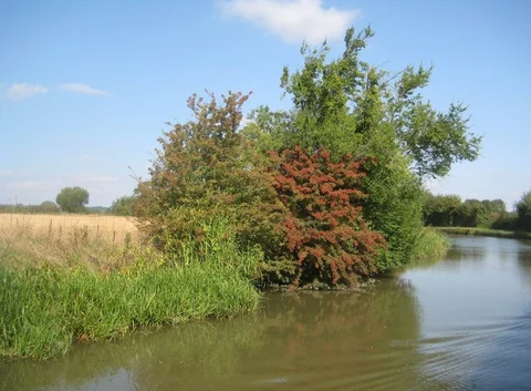 Grafton Regis Country Park and Ashton Loop