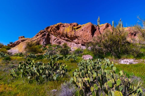 An image depicting the trail Black Mesa Trail and Dutchman Loop Trail and its surrounding area.