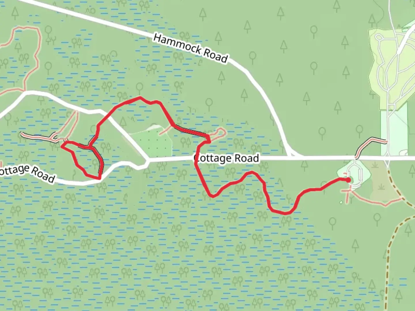 An image depicting the trail Fern Garden via Wild Orange Loop Trail and its surrounding area.