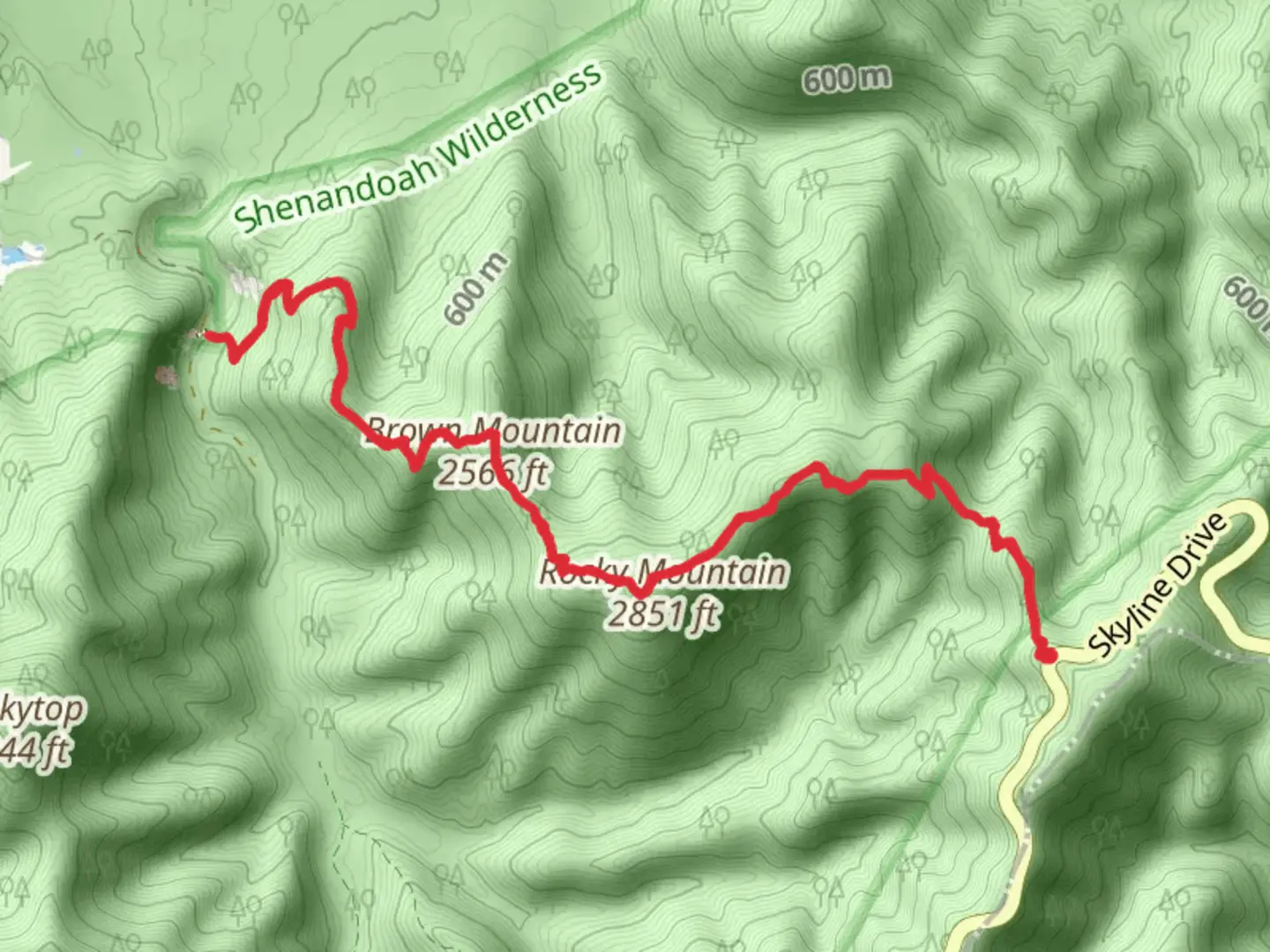 An image depicting the trail Brown Mountain and its surrounding area.