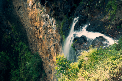 An image depicting the trail Wompoo Circuit and its surrounding area.