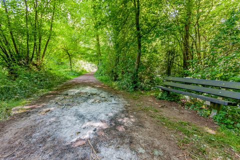 Schadijke Bossen and Sint Martinsberg Loop