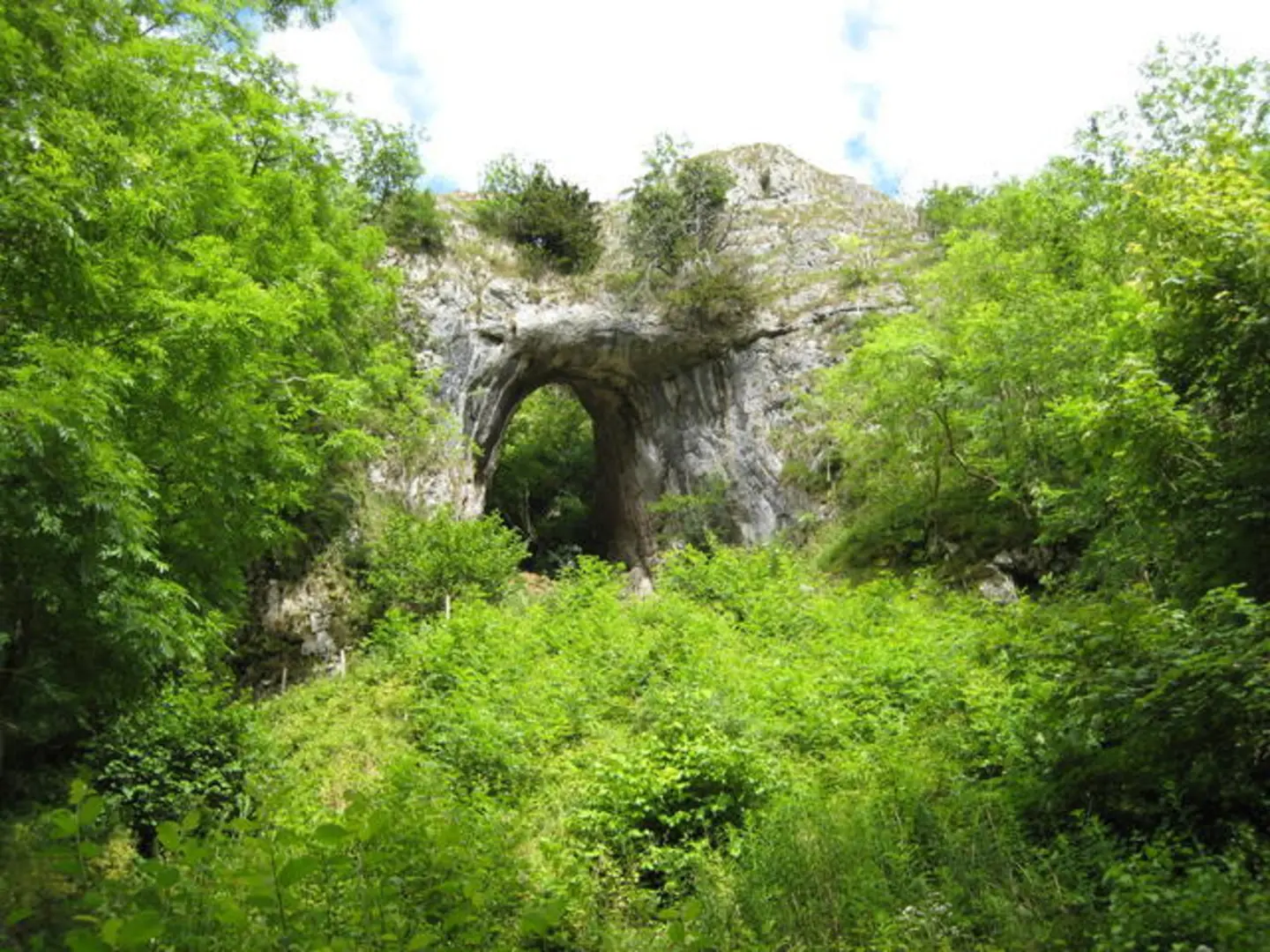 An image depicting the trail Dovedale Loop from Ilam and its surrounding area.