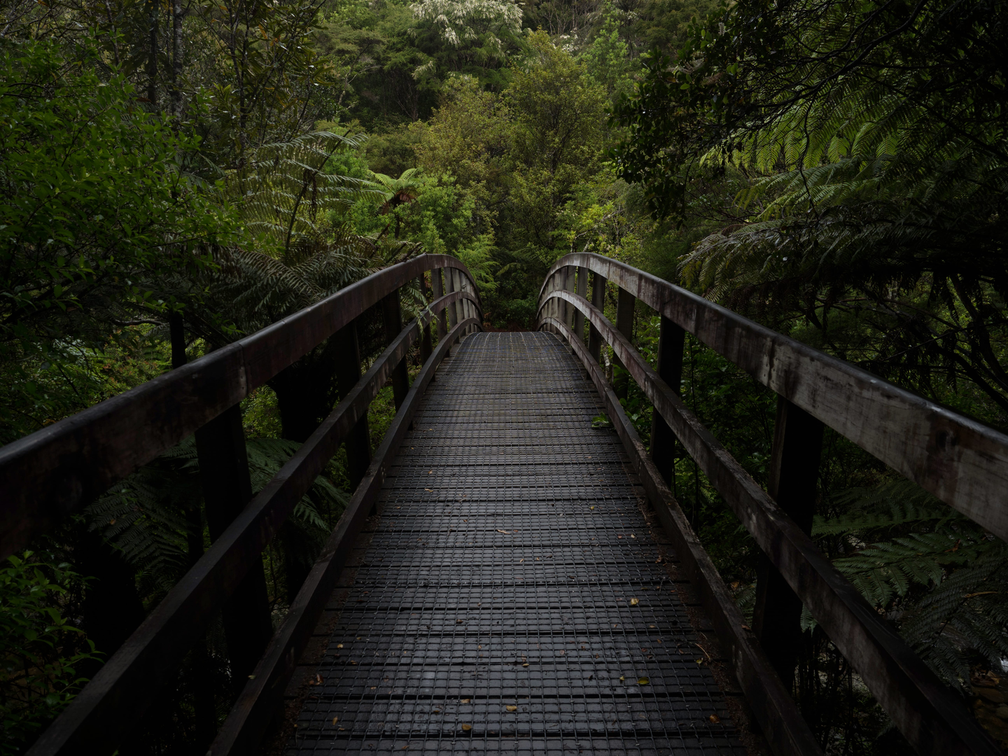 An image depicting the trail Wentworth Falls Track and its surrounding area.