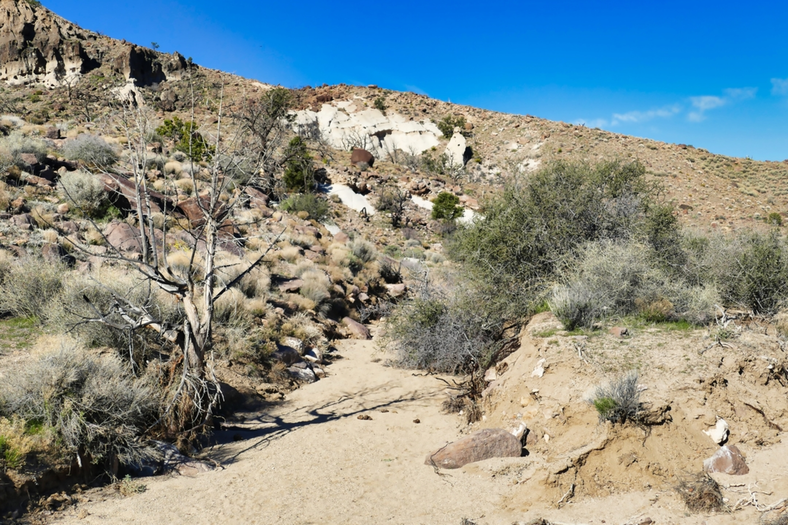 An image depicting the trail Mid Hills to Hole - in - the - Wall Trail and its surrounding area.