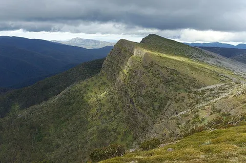 The Bluff via Link Track