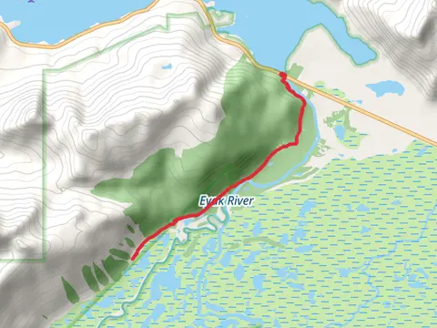 Eyak River Trail
