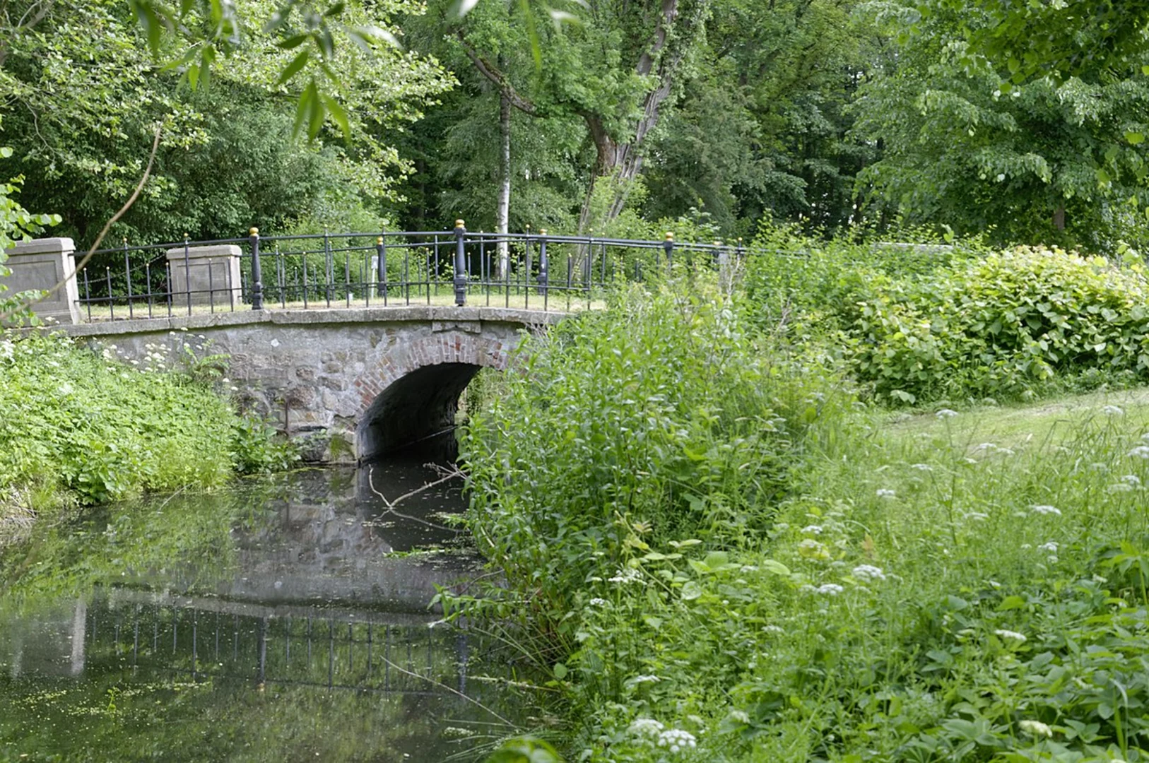 An image depicting the trail Cadenberge to Altkehdingen Loop and its surrounding area.