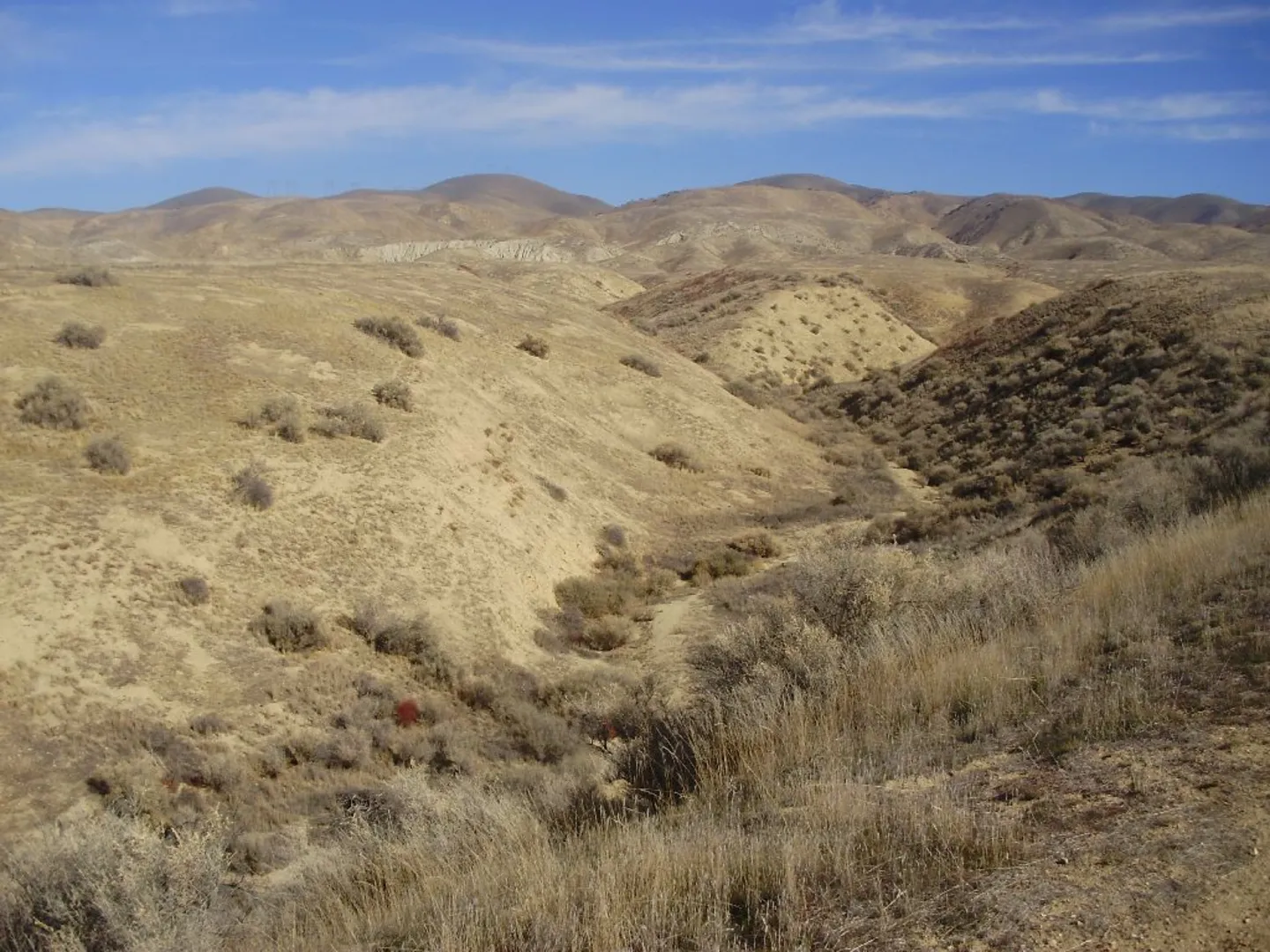 An image depicting the trail Wallace Creek Trail and its surrounding area.