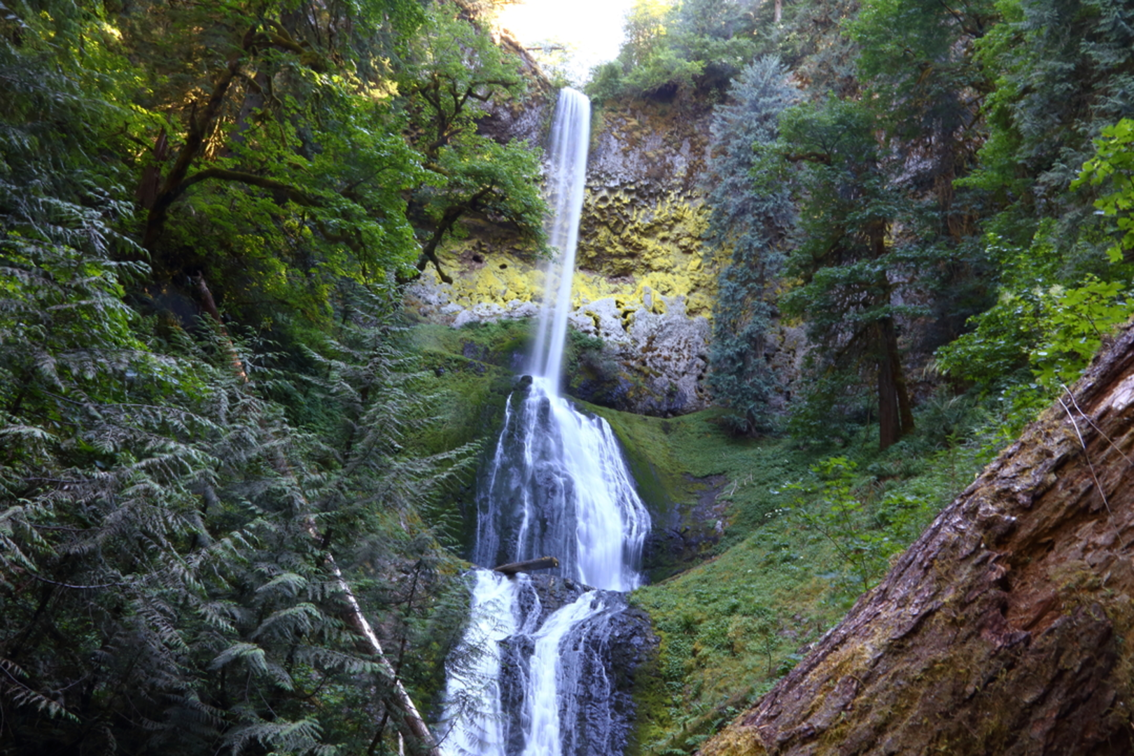 An image depicting the trail Clackamas River Trail and its surrounding area.