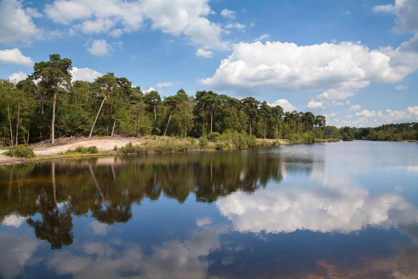 An image depicting the trail Oisterwijkse Vennen Loop and its surrounding area.