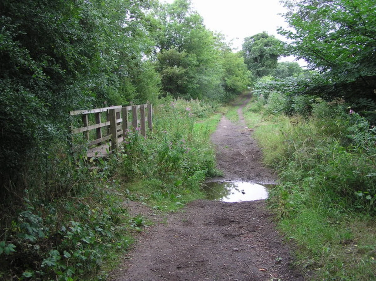 Brafferton Country Park Loop